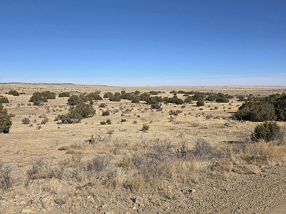 5th image of Salida Dr #491