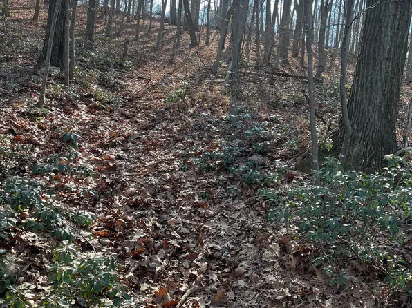 0 Forest Ridge Rd, Delta, PA 17314