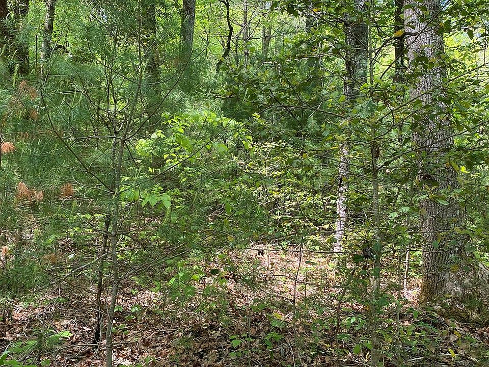 1st image of 106 Black Birch Ln