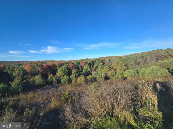 4081 Scootac Rd, Beech Creek, PA 16822