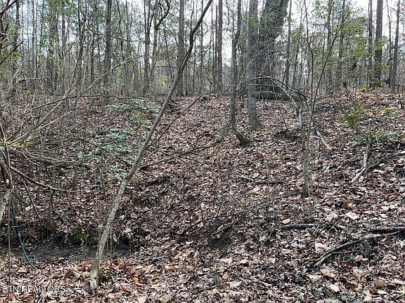 5th image of 160 County Road 351