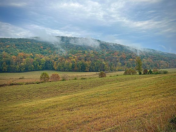 44th image of this home