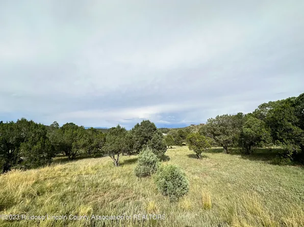 422 Deer Valley Dr, Alto, NM 88312