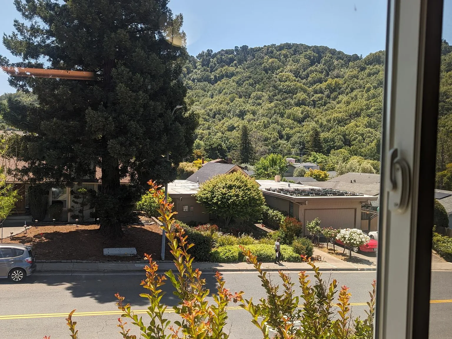 1 bed, 650 sqft, $2,250 — Photo 1