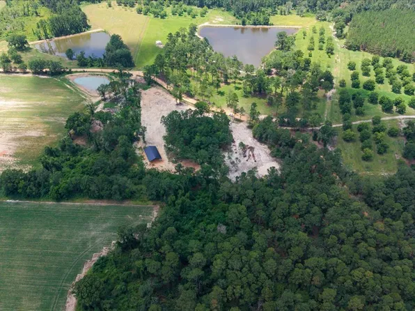 Pittman Rd, Cobbtown, GA 30420