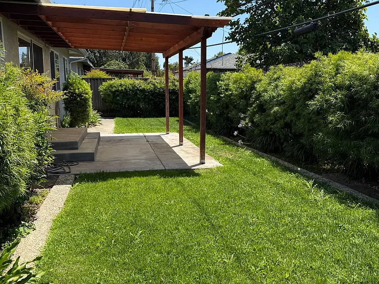 Backyard