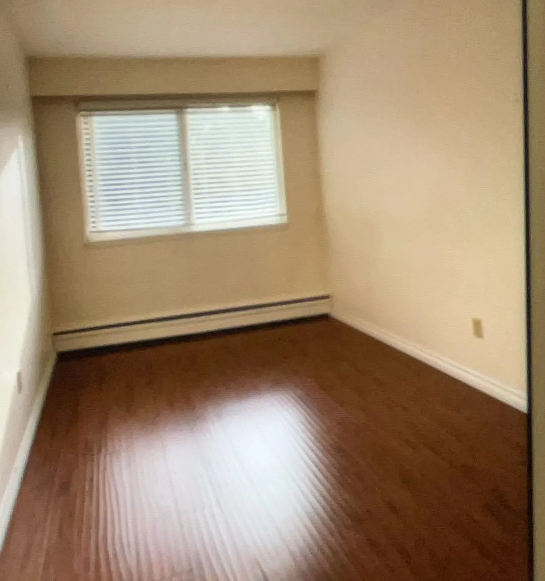 3 bed, 1100 sqft, $2,500 — Photo 2