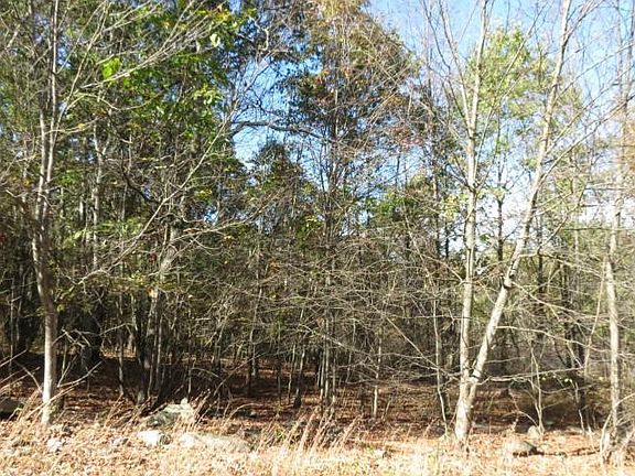 2nd image of 28 E Wood Oak Dr