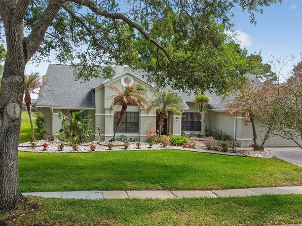 3154 Zaharias Dr, Orlando, FL 32837