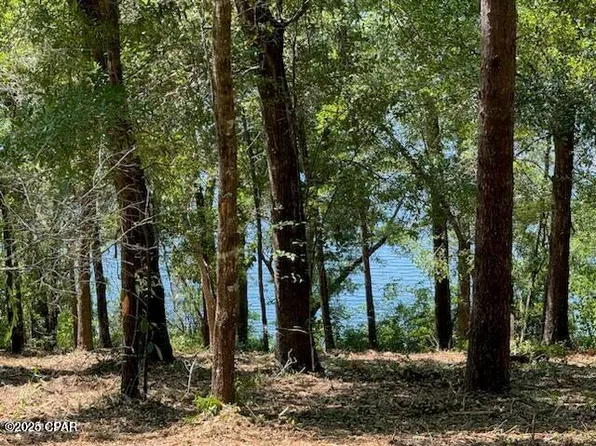 Dove Ct, Chipley, FL 32428