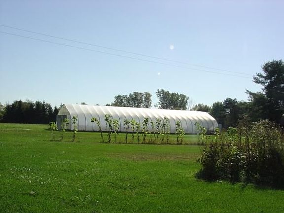 Greenhouse 