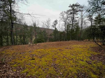 Black Diamond Dr, New Castle, VA, 24127