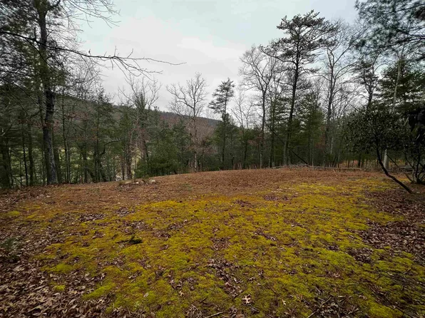 Black Diamond Dr, New Castle, VA 24127