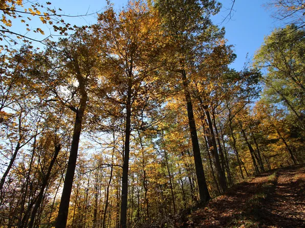 4925 Flat Creek Rd, Frankfort, KY 40601