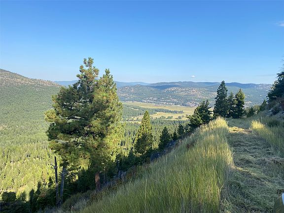 2nd image of Nhh Whitetail Rdg