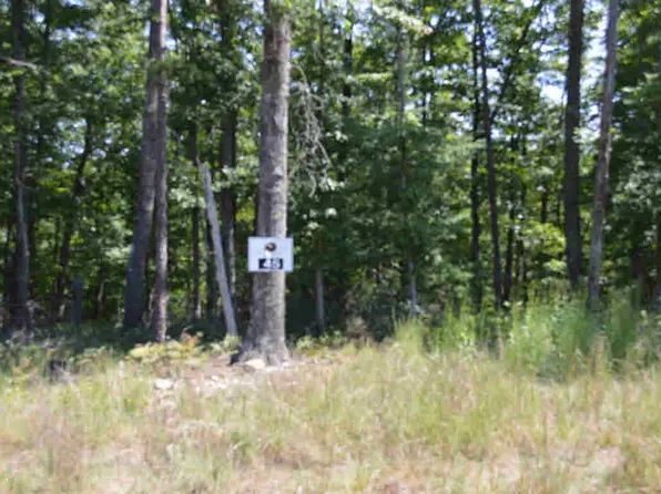 45 Black Diamond Dr NW, New Castle, VA 24127