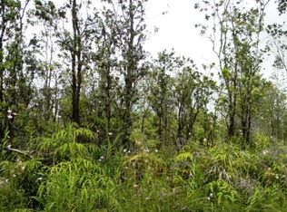 Paniolo St LOT 8, Mountain View, HI 96771