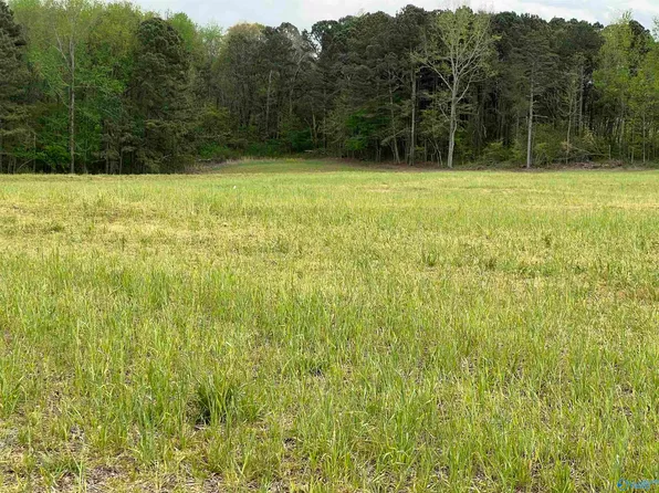 County Road 855, Collinsville, AL 35961