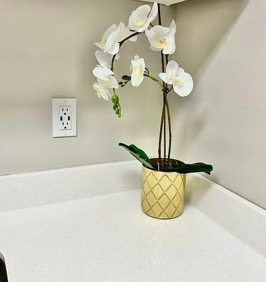 USB Ports