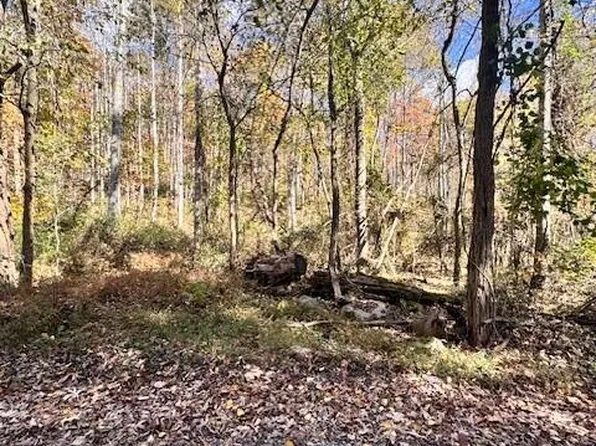 0 Dry Branch Rd, Pembroke, VA 24136