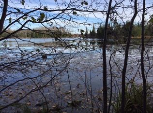 16791 Little Pickerel Ln, Townsend, WI 54175