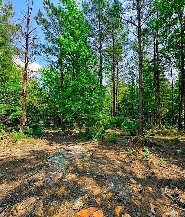 2nd image of 122 Southern Locust Trail