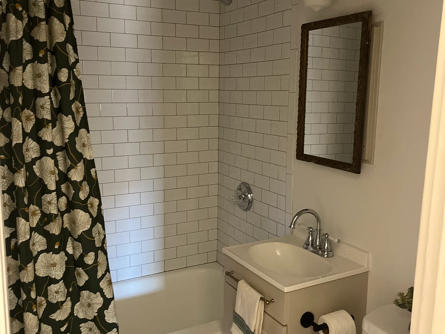 1 bed, $750 — Photo 3