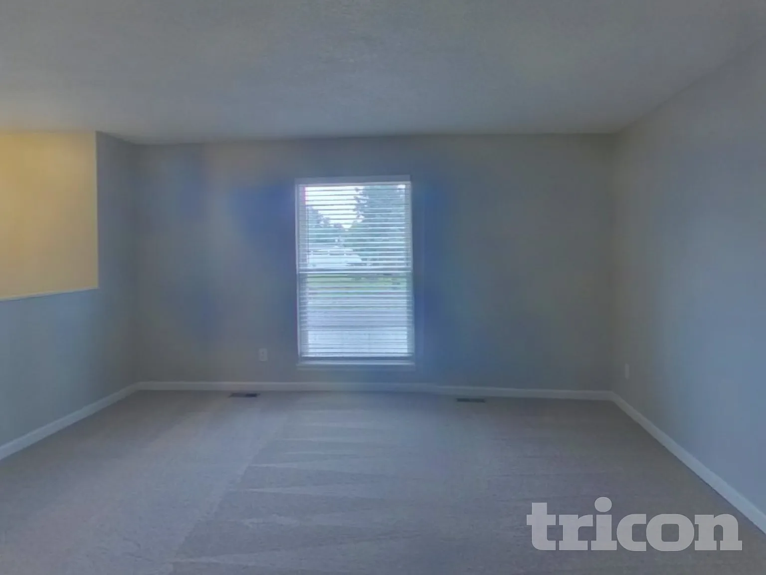 2640 Cather Ave Colorado Springs CO — Photo 2
