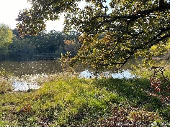 5th image of 16841 County Road 3770