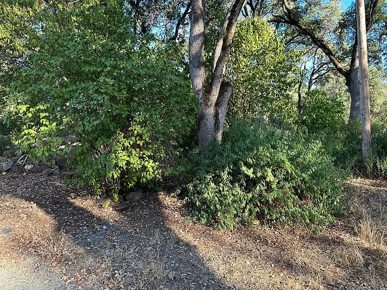 111 Covey Rd — Photo 11
