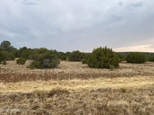 1 County Road 3047, Concho, AZ 85924
