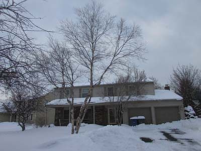 2nd image of 520 Mallard Rd