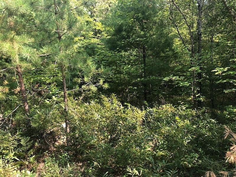 2nd image of Lot 50 Mann Road