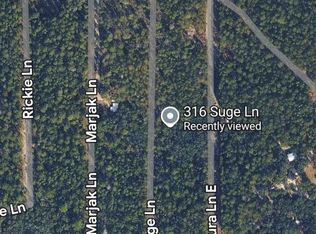316 Suge Ln, Florahome, FL 32140