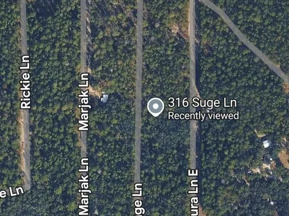 316 Suge Ln, Florahome, FL 32140