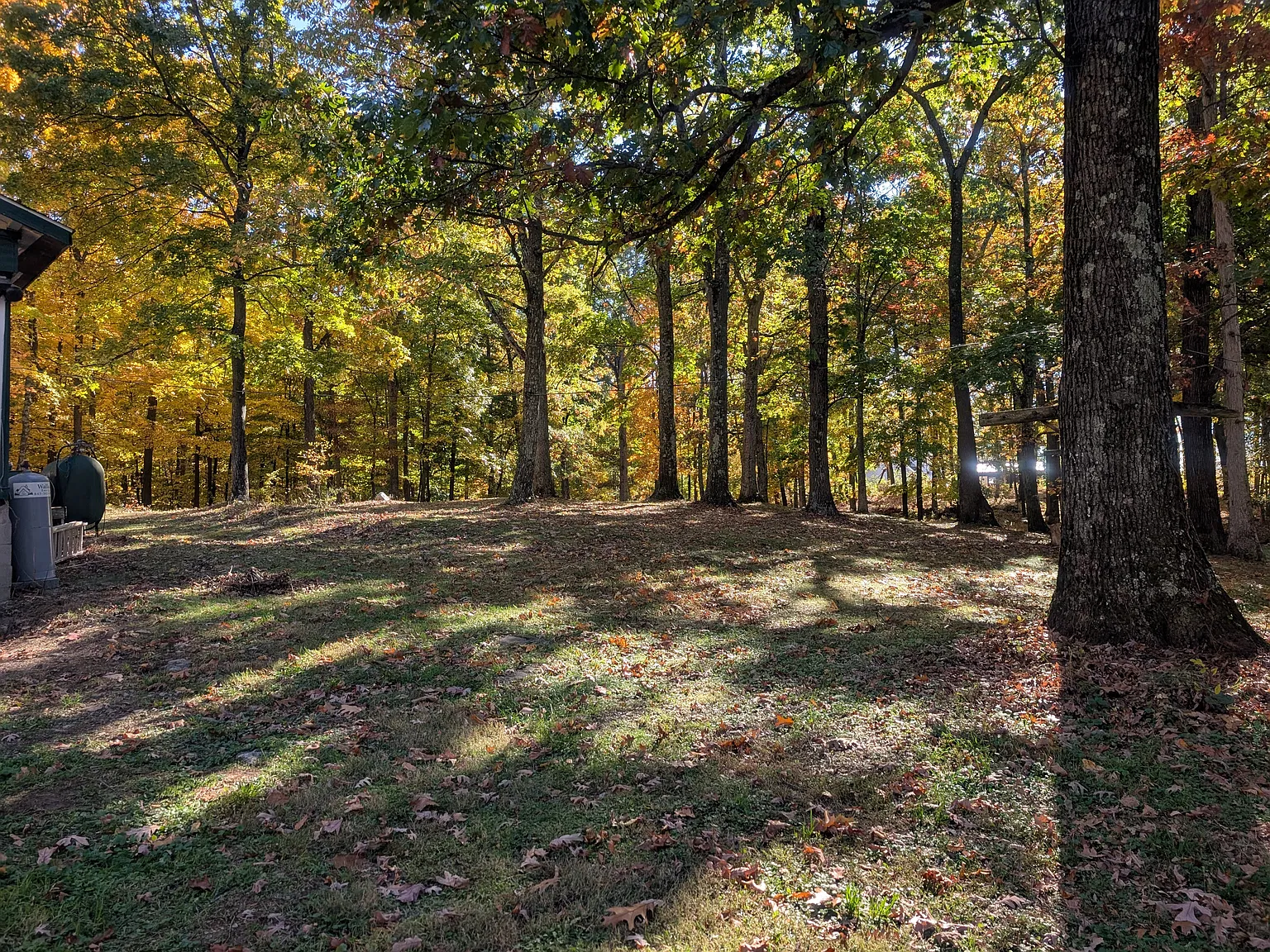 2 bed, 1.5 bath, 700 sqft, $1,900 — Photo 2