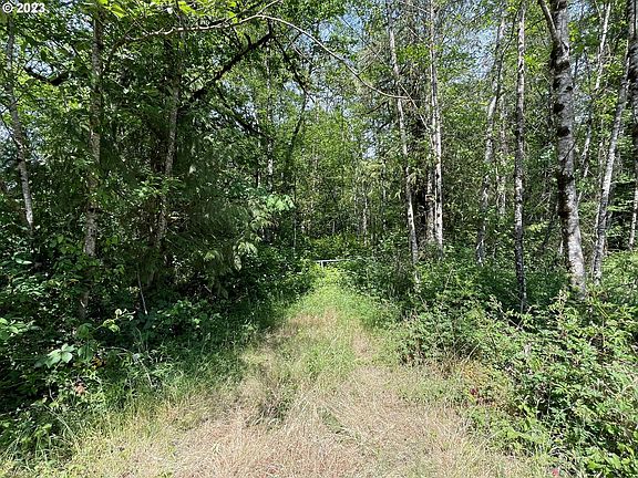 2nd image of Spirit Lake Hwy #37