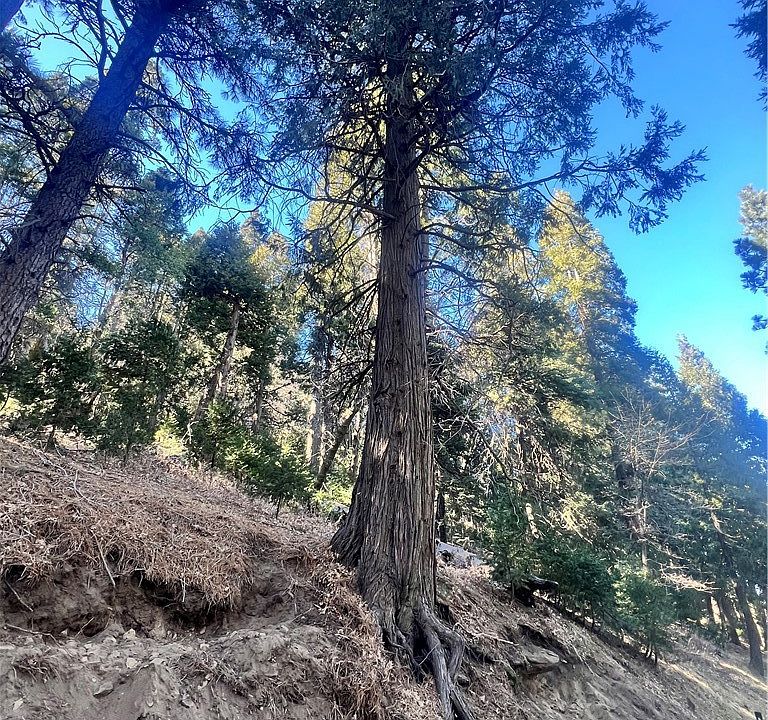 1st image of 0 Reservoir Rd #96