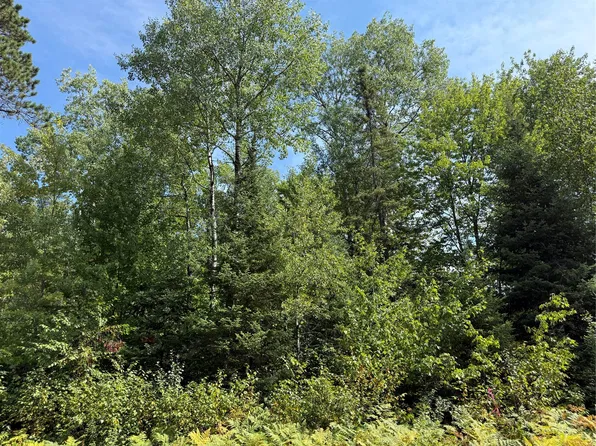 Lot 38 & 39 Stone Pine Drive, Cable, WI 54821