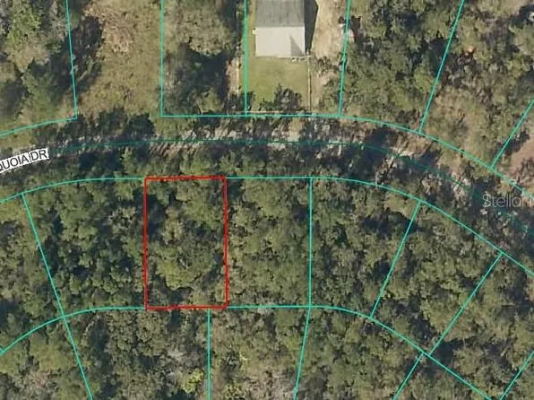 Sequoia Dr Lot 34, Ocklawaha, FL 32179