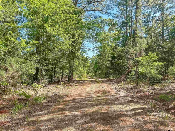 County Road 4814, Ben Wheeler, TX 75754