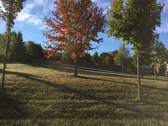 Beautiful fall colors begin