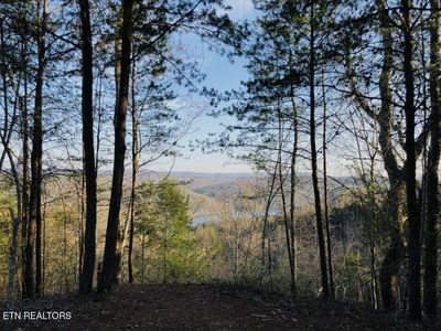 Red Creek Hollow Rd, Tazewell, TN, 37879