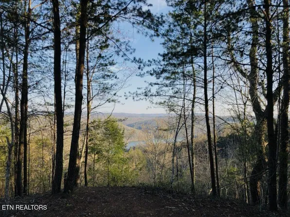 Red Creek Hollow Rd, Tazewell, TN 37879