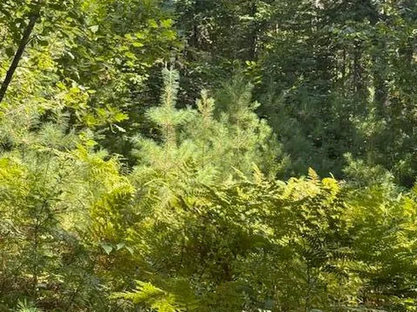 R-3 p/o 7C Old Dresden Road, Wiscasset, ME 04578