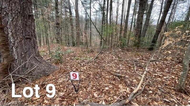 1st image of 9 Woods Haven Ln