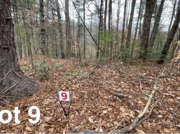 9 Woods Haven Ln, Stuart, VA 24171