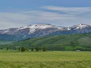 1315 S Sorenson Creek Way, Alta, WY 83422