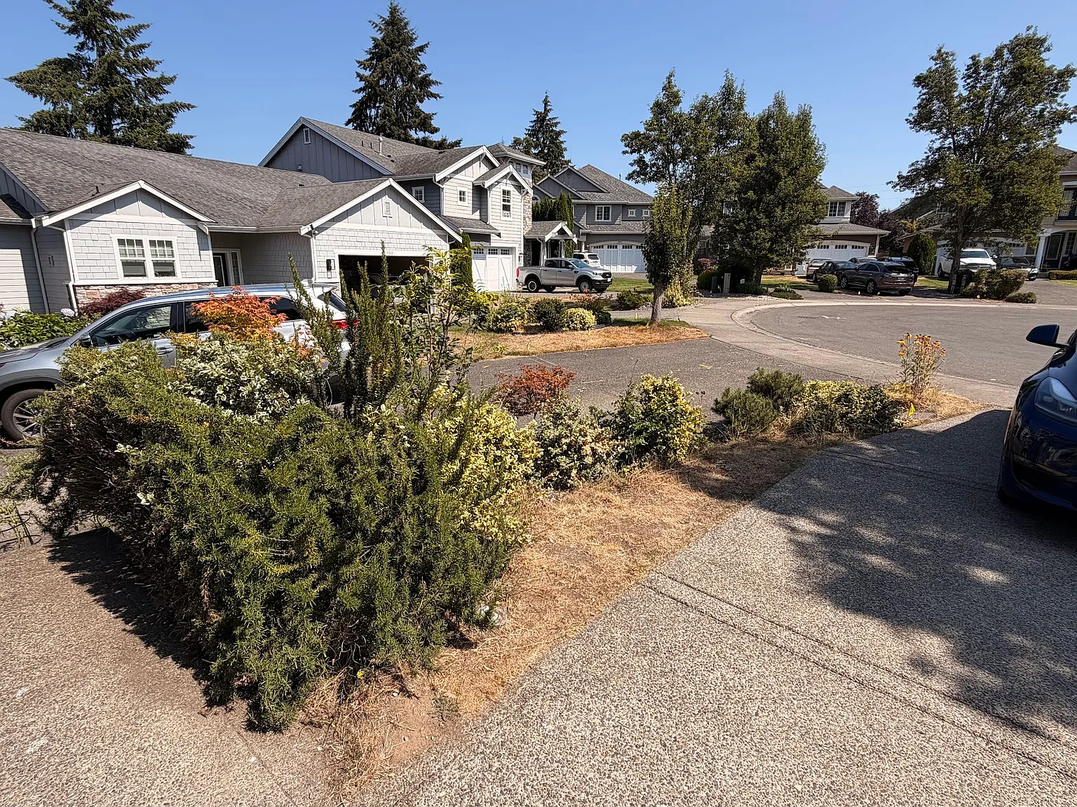 5 bed, 2.5 bath, 2961 sqft, $3,600 — Photo 4