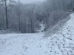 16A Sigogglin Trl, Waynesville, NC 28785